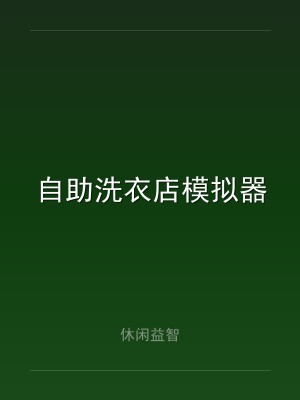 自助洗衣店模拟器