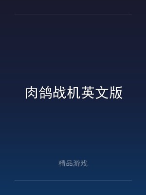 肉鸽战机英文版
