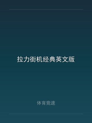 拉力街机经典英文版