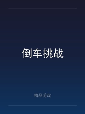 倒车挑战