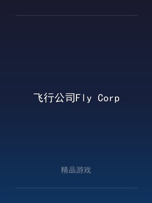 飞行公司Fly Corp