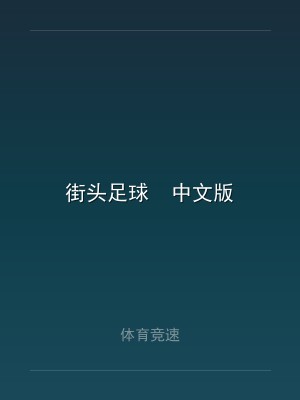 街头足球  中文版