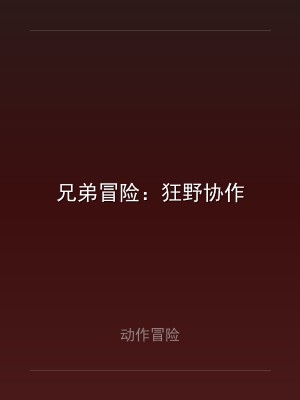 兄弟冒险：狂野协作