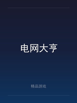 电网大亨