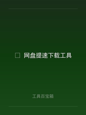 ⚡ 网盘提速下载工具